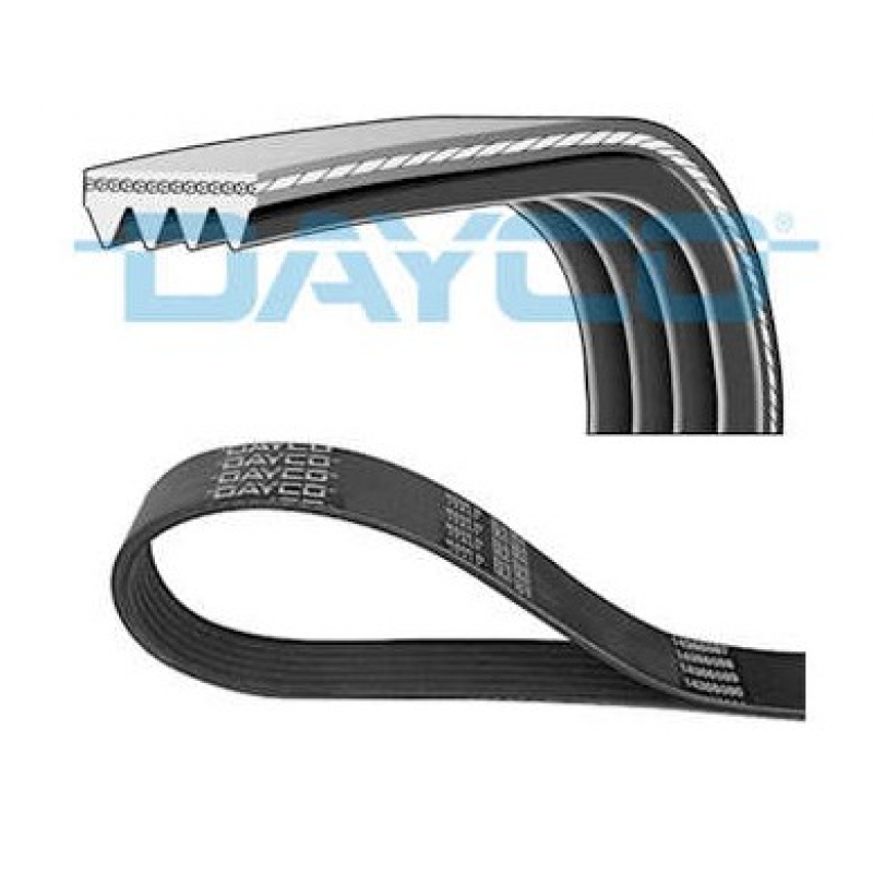Correia Micro-v Dayco