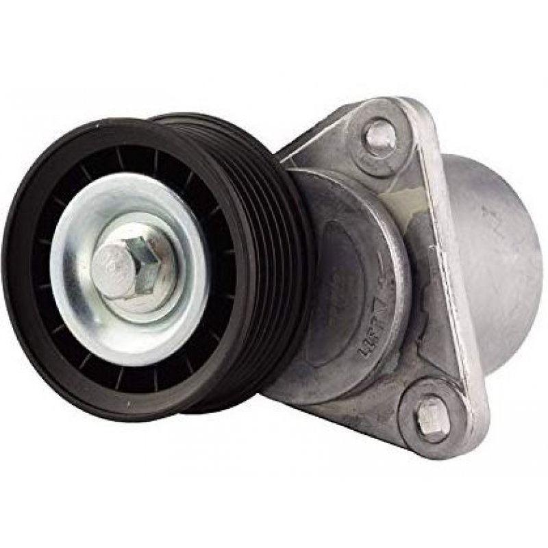 Estic Alt Focus Duratec 2.0 05/08 Roltbras