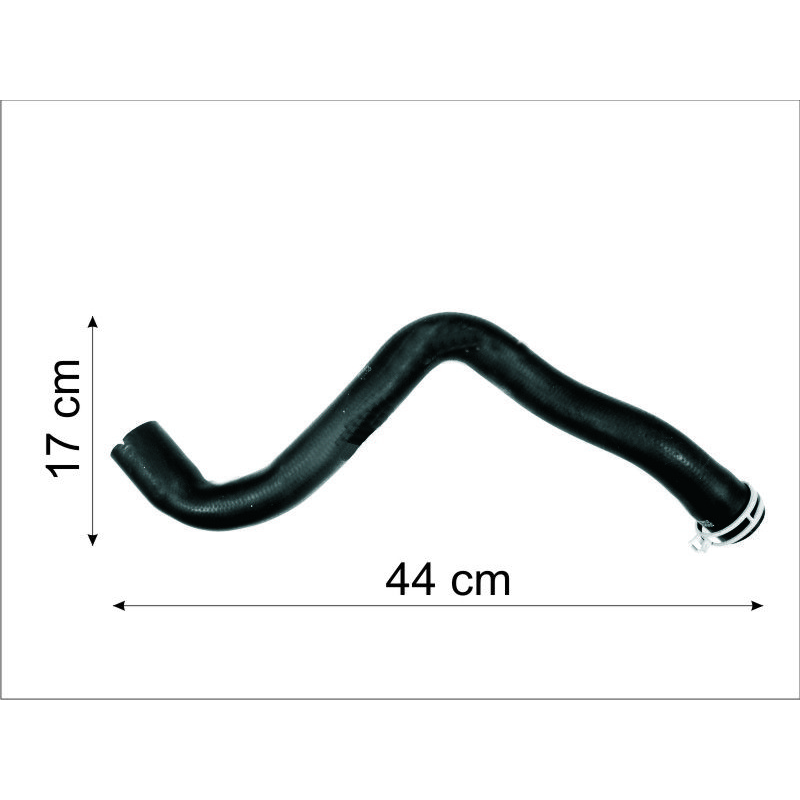 Mangueira Superior Radiador Focus 2.0 16v Duratec 2008/2013 Cauplas