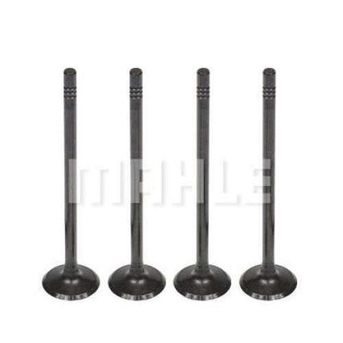 Valvula Admissao Clio/kang 1.0 16v Gasolina, March 1.0 16v Flex (25,92mm X 5,47mm X 110,75mm) Mahle Metal Leve