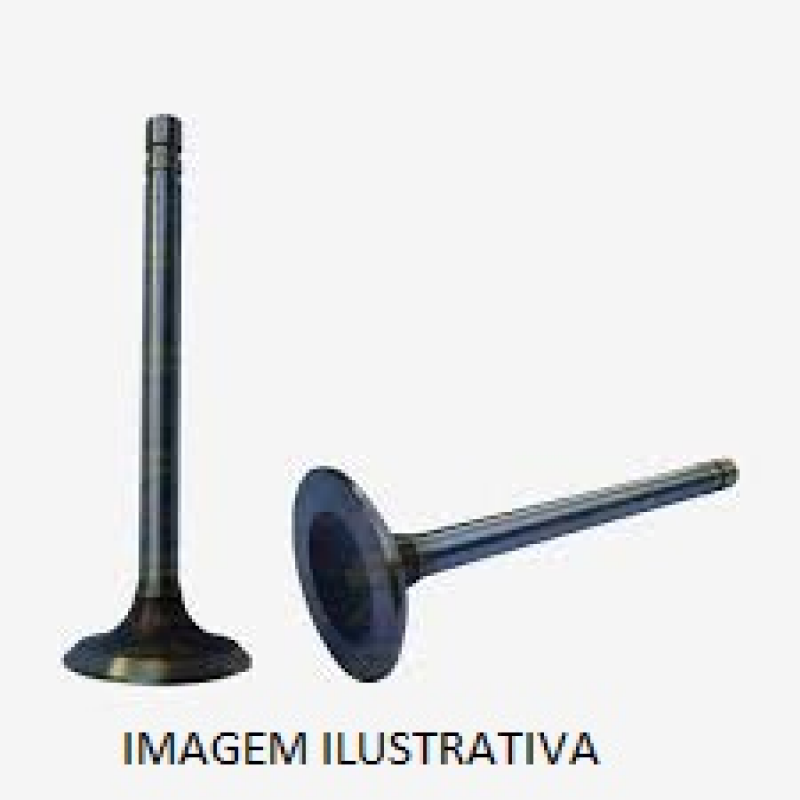 Valv Adm Ecosport Focus Mond/fusion/rang 2.0/2.3 16v Duratec Eaton