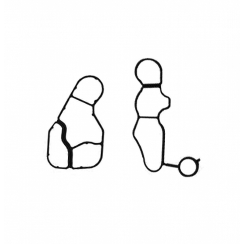 Kits Juntas Resfriador Oleo Peug 307/ C4 2.0 16v Bastos Juntas