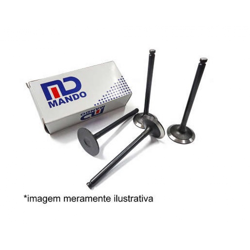 Valv Adm Chery Qq (jg8) (79,0x24,46x4,93mm) Mando Original