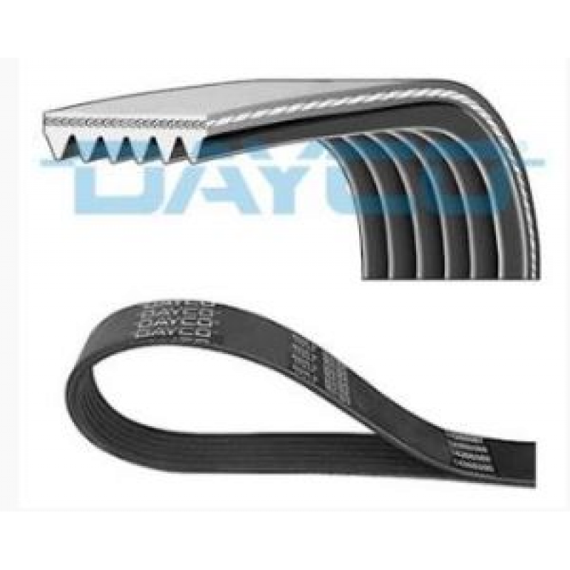 Correia Micro-v Dayco