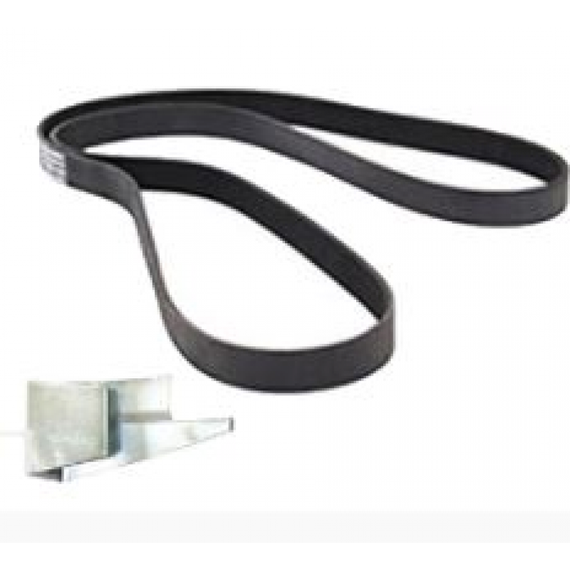 Correia Micro-v Elastica Focus 2.0 08/13 Ecosport 2.0 13/ Dayco