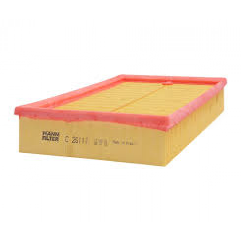 Filtro Ar Escort Iv Vi/ Royale/ Verona/ Versailles Royale/ Gol/ Apollo/ Mann