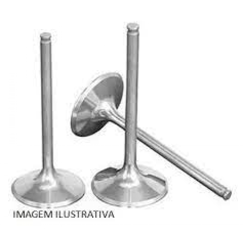 Valv Adm Kombi/fox/novo Gol G5/golf/polo/para/sav 1.4/1.6 8v 3b Valvulas Motor