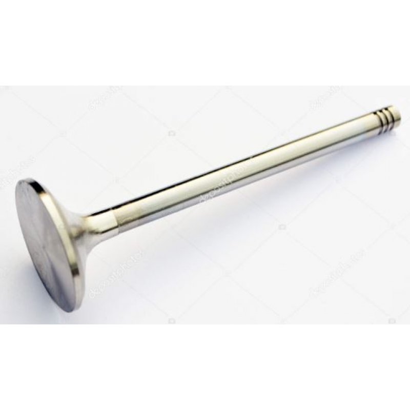 Valvula Escape Vw 1.0 12v Ea211 3 Cil / Msi 1.6 16v (27mm) Eaton