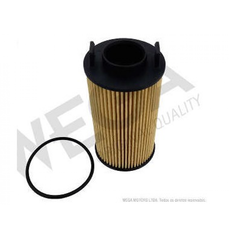 Filtro Oleo Tiggo 8 1.6 Turbo 20/ Wega