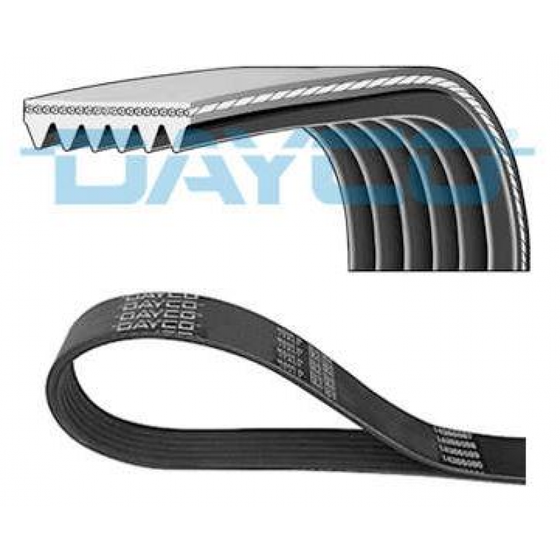 Correia Micro-v Dayco