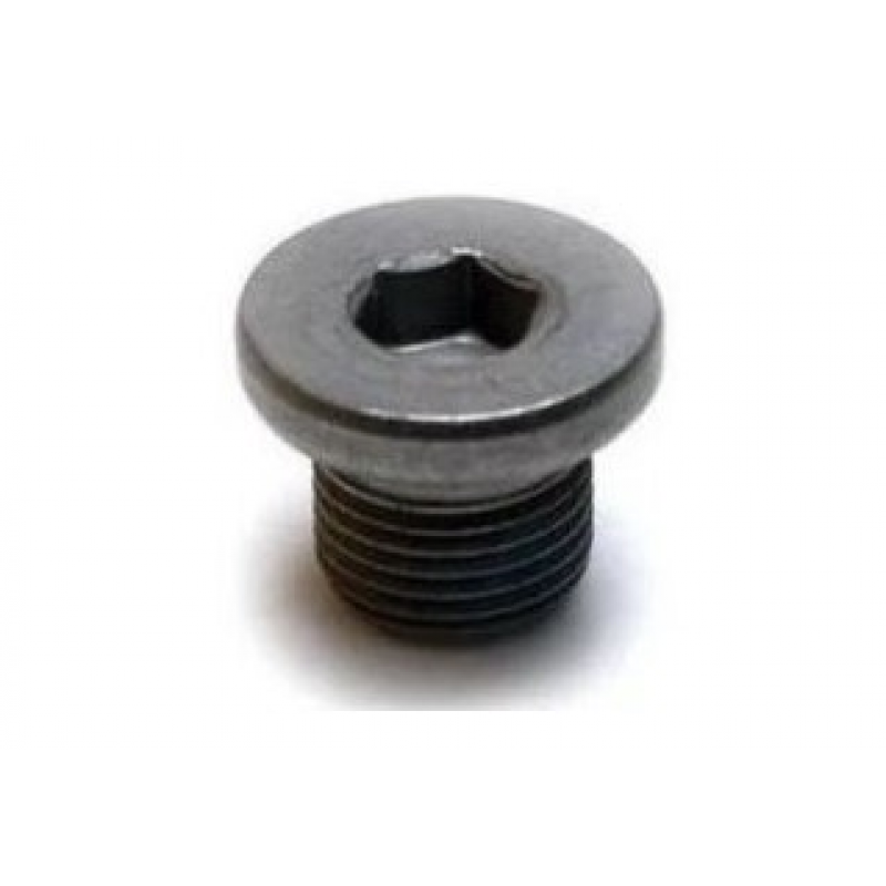 Bujao Carter Citroen C4 Picasso Peugeot 307 405 406 Megane Scenic 2.0 Disfix