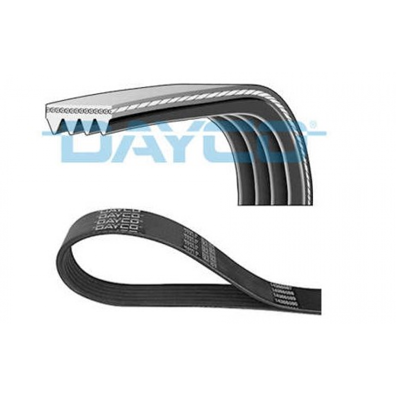 Correia Micro-v Dayco