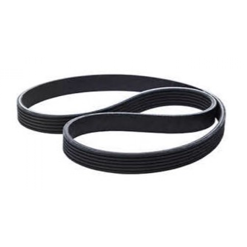 Correia Micro-v Dayco