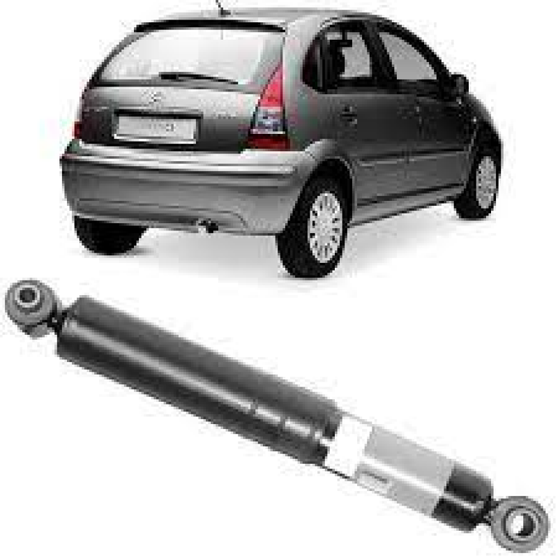 Amortecedor Traseiro C3 01/12 Trw Amortecedor