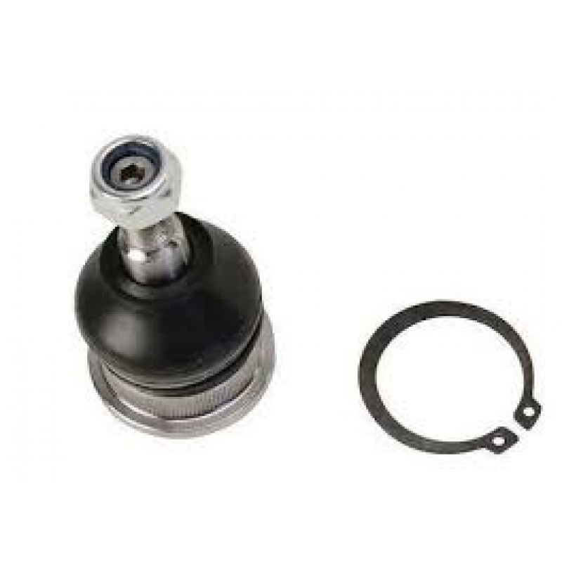 Pivo Inferior Elantra 2017/2019 Lado Direito Perfect Automotive