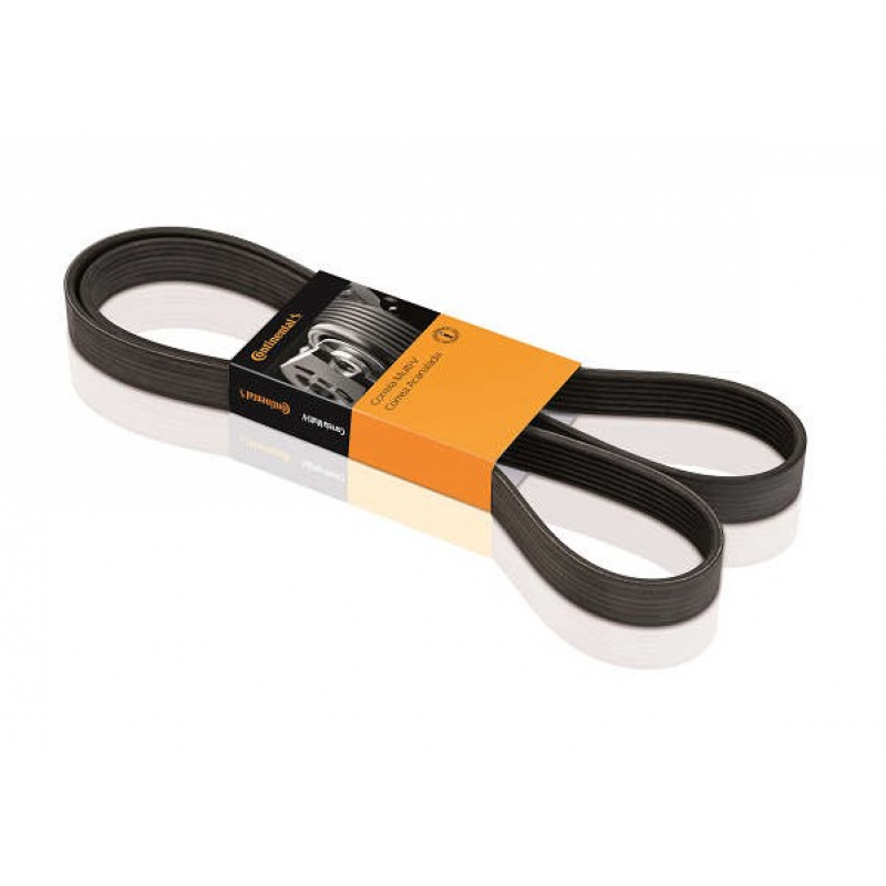 Correia Micro V Contitech