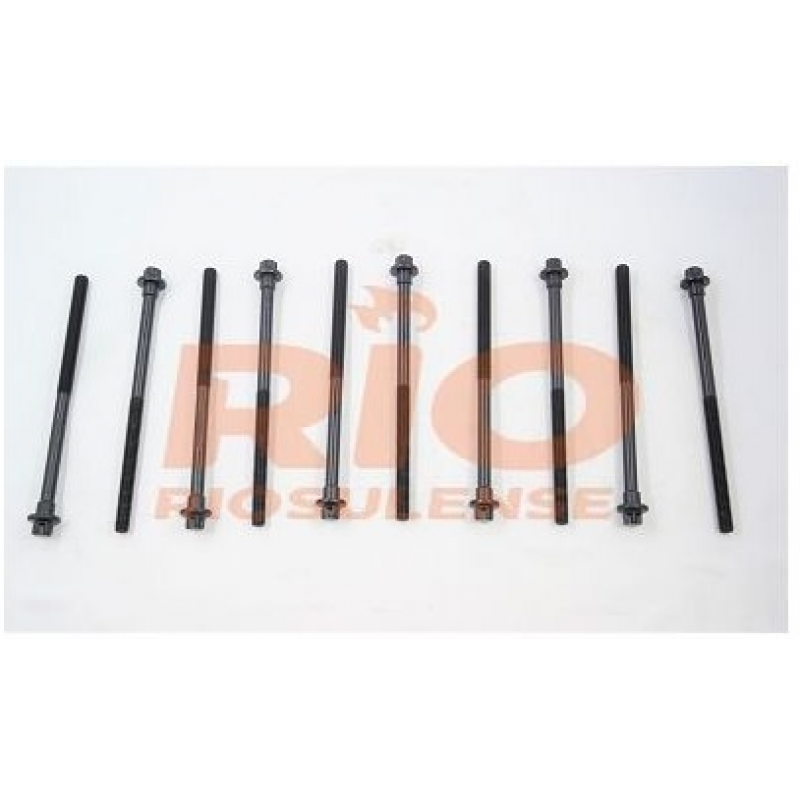 Parafuso Cabecote 206/207/c3 1.4/1.5 8v Riosulense