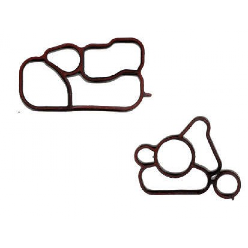 Kit Junta Resfriador Oleo A3 A4 Golf Jetta Passat Tfsi Bastos Juntas